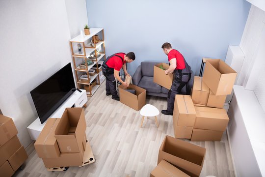 Furniture Movers and Packers in Ruwais