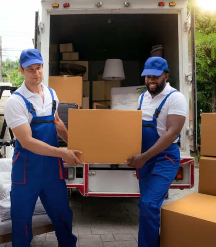 Why Choose Removals Abu Dhabi in Ruwais?